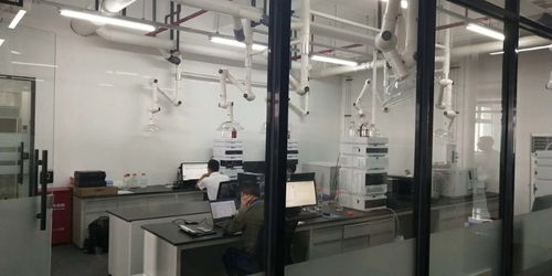 閔行獨棟1350平可分割精裝修廠房 一站式解決倉儲、生產與土地需求